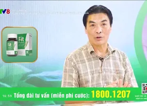 Sống khỏe: Thảo dược giảm mỡ bụng, mỡ nội tạng, mỡ thừa hiệu quả