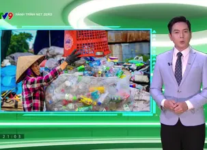 Hành trình Net Zero 2025 - Số 11