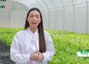 Vì một tương lai xanh - 03/4/2025