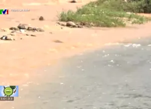 Tương lai xanh - 05/4/2025