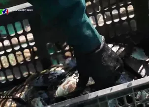 Nông nghiệp xanh: 	Nông nghiệp tuần hoàn