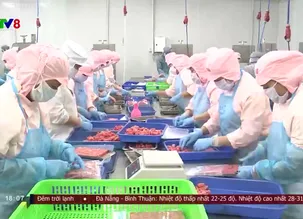 Thời sự 18h VTV8 -  06/4/2025