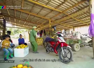 Từ những miền quê: Sắc vàng trên đất Mường Và