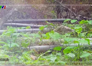 Môi trường và cuộc sống: Năng lượng tái tạo - Điện về bản