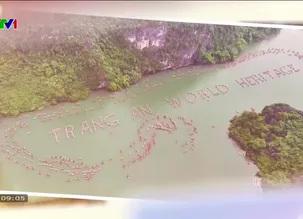 Du lịch Việt Nam - 12/4/2025