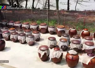 Vị quê: Mắm ngao vị quê Cồn Đen