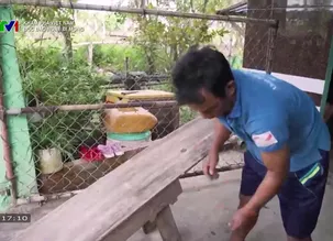 Khám phá Việt Nam: Độc đáo nghề đi mong