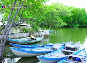 Khám phá Việt Nam: Cuộc sống bên đầm Nha Phu