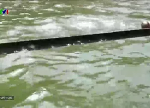 Du lịch Việt Nam - 20/4/2025