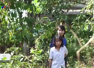 Cặp lá yêu thương - 27/4/2025