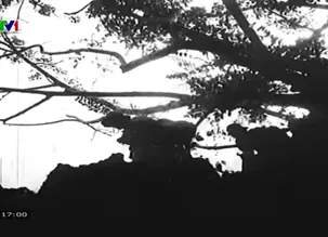 Nhật ký người Việt - 27/4/2025