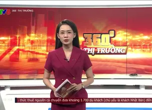 360 độ thị trường - 01/5/2025