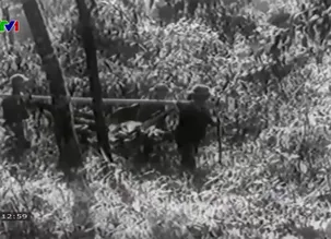 Nhật ký người Việt - 01/5/2025