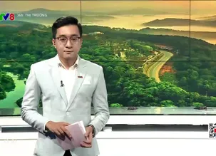 360° Thị trường - 02/5/2025