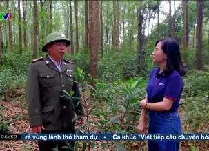 Việt Nam thức giấc - 03/5/2025