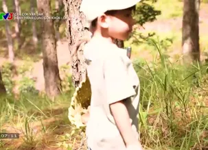 Cha con vạn dặm: Hành trình cùng con khôn lớn