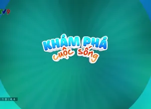 Khám phá cuộc sống - 13/5/2025