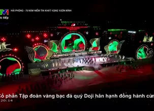 Lễ hội Hoa phượng đỏ - Hải Phòng 2025