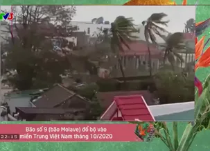 Đẹp +84 - 14/5/2025