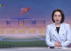 Bản tin tiếng Pháp - 15/5/2025