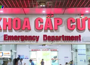 Vấn đề hôm nay - 15/5/2025
