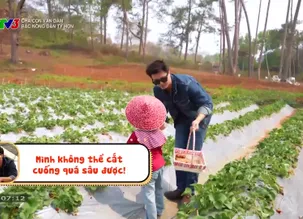 Cha con vạn dặm: Bác nông dân tý hon