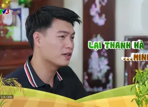 Nhà nông vui vẻ: Hướng dẫn gieo ươm hạt giống cây sấu