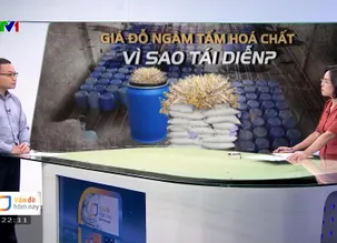 Vấn đề hôm nay - 20/5/2025