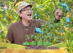 Nhà nông vui vẻ: Cách trồng và chăm sóc cây vú sữa