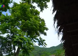 Nét đẹp dân gian: Người Dao Tiền có tấm giấy dó