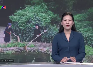 Bản tin tiếng Trung - 22/5/2025