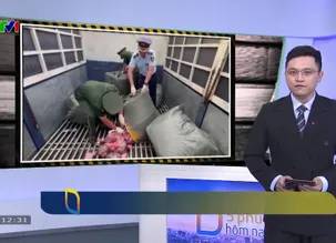 5 phút hôm nay - 23/5/2025