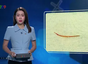 Alo Doctor - 23/5/2025