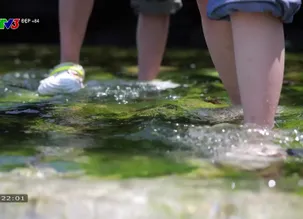 Đẹp +84 - 23/5/2025