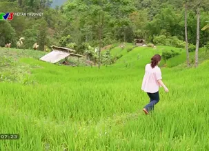 Nét ẩm thực Việt: Hương vị măng rừng bản Sưng