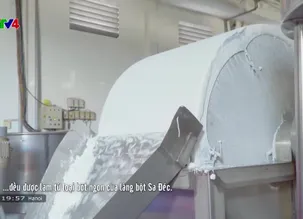 Nhịp đập Việt Nam: Làng bột Sa Đéc