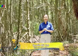 S - Việt Nam: Những người chữa lành chiến khu rừng Sác