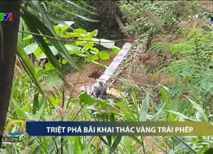 5 phút hôm nay - 26/5/2025