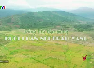 V - Việt Nam: Đồng lúa thơ mộng núi Brăh