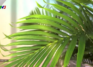 Cà phê sáng - 27/5/2025