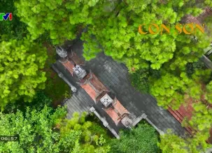 V - Việt Nam: Thanh Hư Động