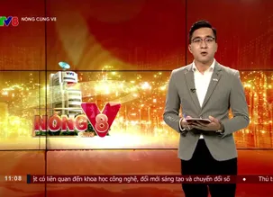 Nóng cùng V8 trưa - 30/5/2025