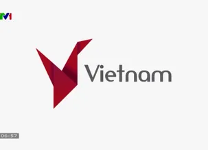 V - Việt Nam: Hoa loa kèn