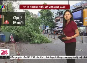 Chuyển động 24h tối - 31/5/2025