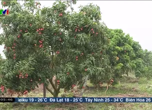 Chào buổi sáng - 02/6/2025