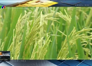 Tài chính kinh doanh sáng - 03/6/2025