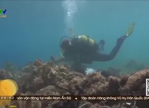 Miền Tây hôm nay sáng - 05/6/2025