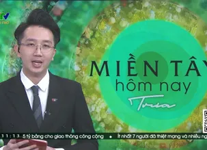 Miền Tây hôm nay trưa - 05/6/2025