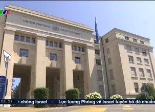 UNCTA cắt giảm nhân sự