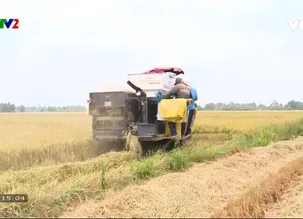 Ký sự: Đồng bằng sông Cửu Long thích ứng với biên đổi khí hậu - Tập 1